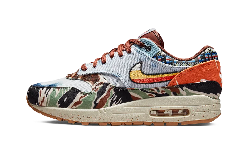 Nike Air Max 1 SP Concepts Heavy